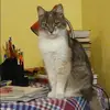 Отзыв от Полина Рябинина